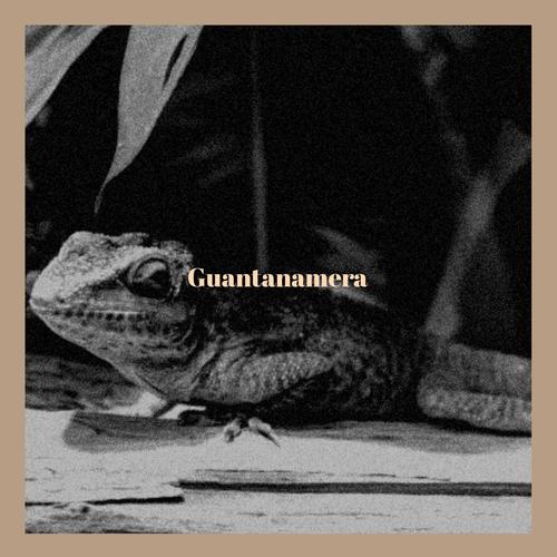 Guantanamera