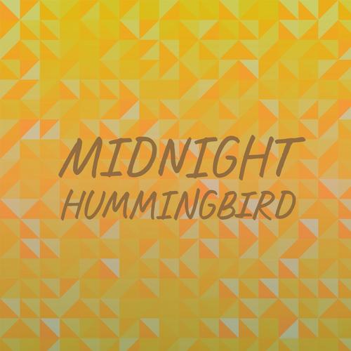 Midnight Hummingbird