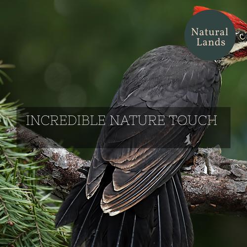 Incredible Nature Touch