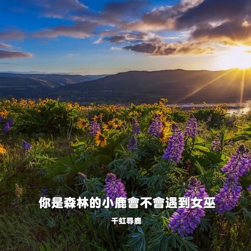 迷失森林的小鹿会不会遇到女巫