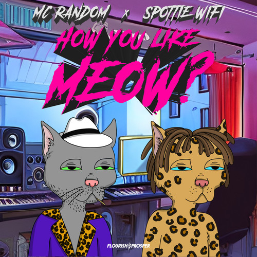 How You Like Meow? (Remix) [Explicit]