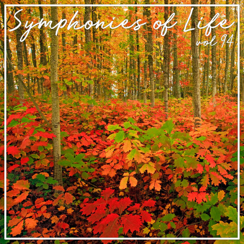 Symphonies of Life, Vol. 94 - Beethoven: Klaviersonaten Nos.8 14 23 12 21 24 26, Vol. 2