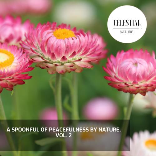 A Spoonful of Peacefulness By Nature, Vol. 2