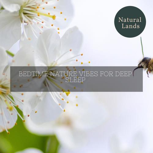 Bedtime Nature Vibes for Deep Sleep