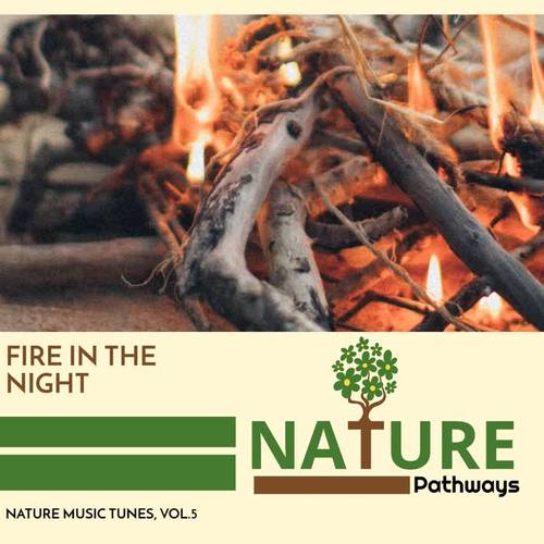 Fire in the Night - Nature Music Tunes, Vol.5