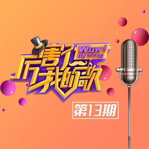 厉害了！我的歌 第13期