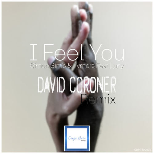 I Feel You (David Coroner Remix)