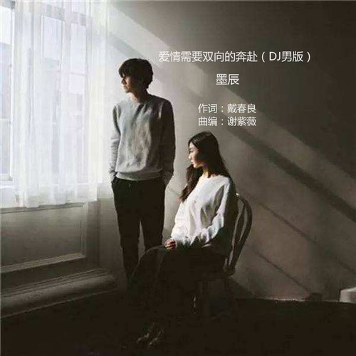 爱情需要双向的奔赴（DJ男版）
