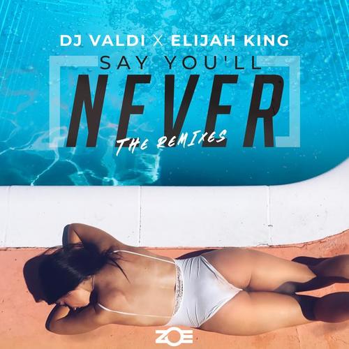 Say You´ll Never (REMIXES)