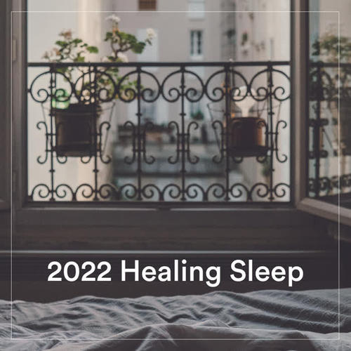 2022 Healing Sleep