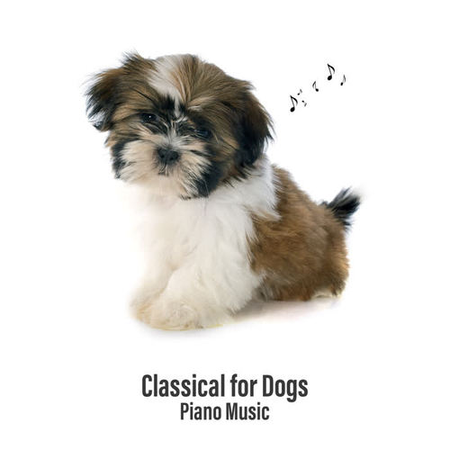 Classical for Dogs: Piano Music, Calm Down Your Animal