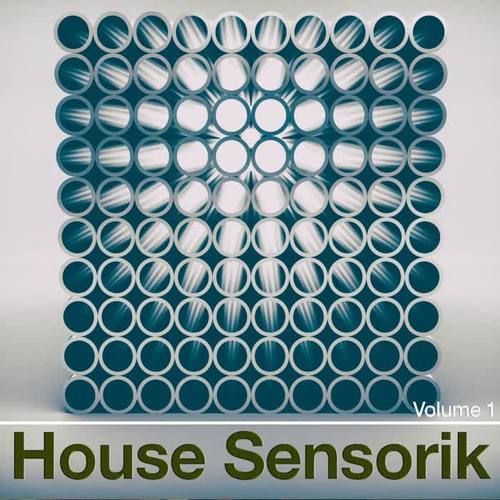 House Sensorik, Vol. 1