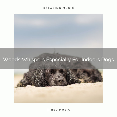 Woods Whispers Especially For Indoors Dogs