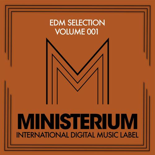 EDM Selection (Volume 001)