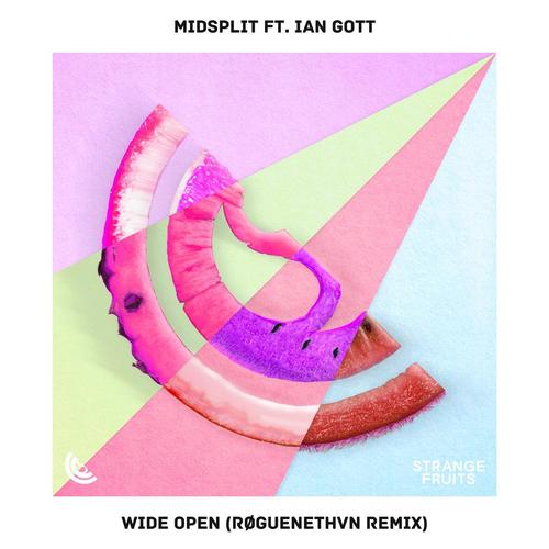 Wide Open (feat. Ian Gott) [RØGUENETHVN Remix]