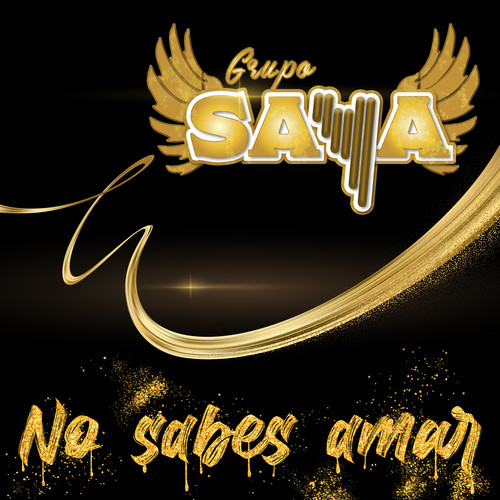 No sabes Amar (En Vivo)