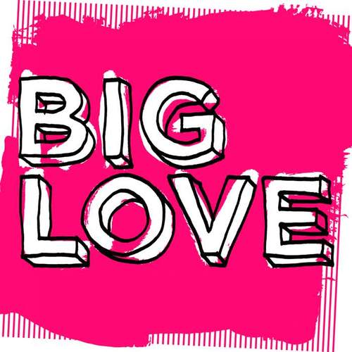 Big Love, Vol. 2: Mixed by Seamus Haji