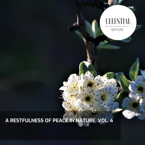 A Restfulness of Peace in Nature, Vol. 4