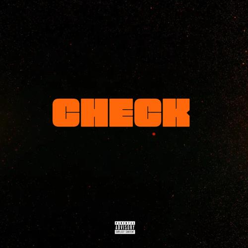 Check (feat. Sam Wills, Christian Kuria & Laleh) [Explicit]