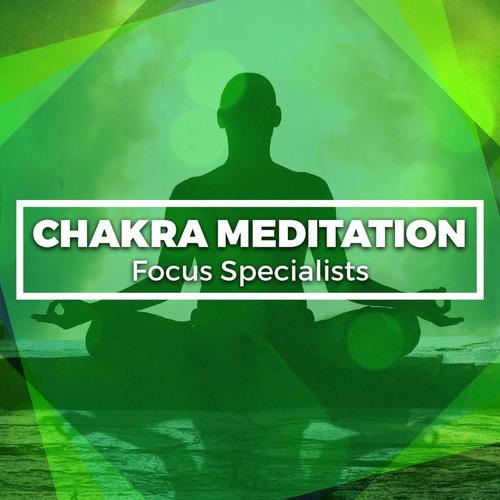 Chakra Meditation Focus Specialists