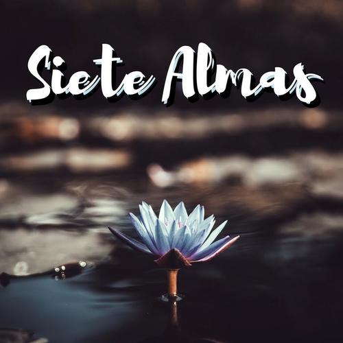 Siete Almas - Melodías de Asia y Música Zen para Aliviar el Estres y Meditar