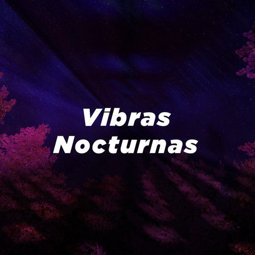 Vibras Nocturnas (Explicit)