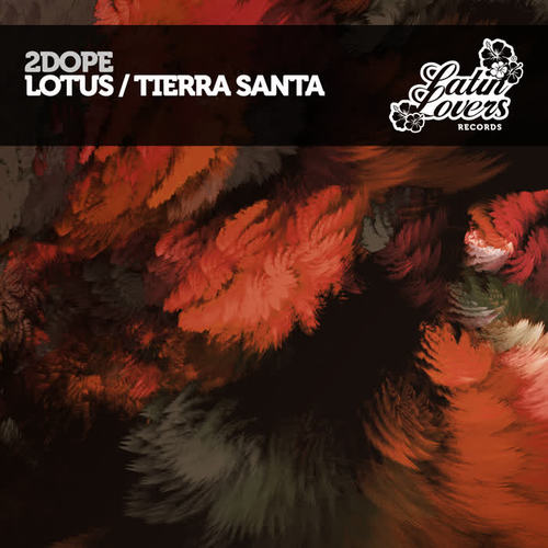 Lotus / Tierra Santa