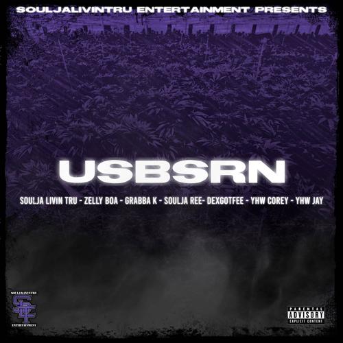 USBSRN (feat. Zelly Boa, Grabba K, Soulja Ree, DexGotFee, YHW Corey & YHW Jay) [Explicit]