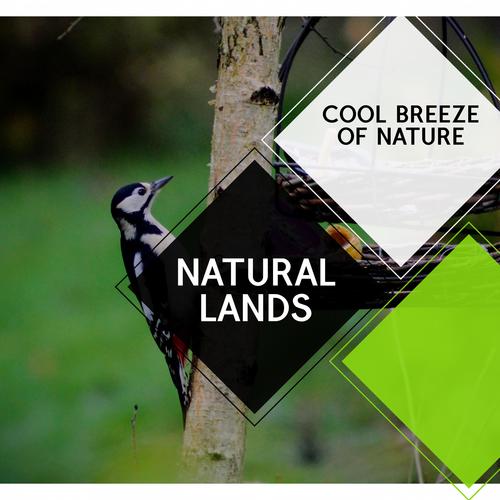 Natural Lands - Cool Breeze of Nature