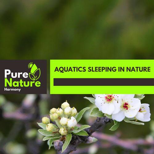 Aquatics Sleeping in Nature