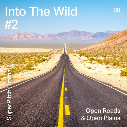 Into the Wild #2 (Open Roads & Open Plains)