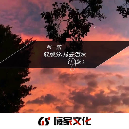叹缘分+抹去泪水（DJ版）