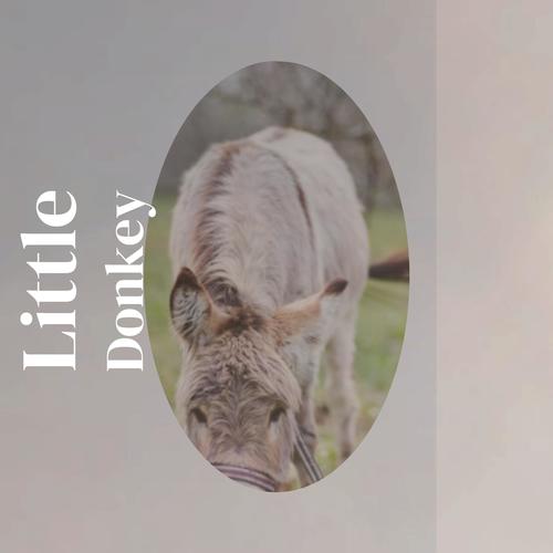 Little Donkey