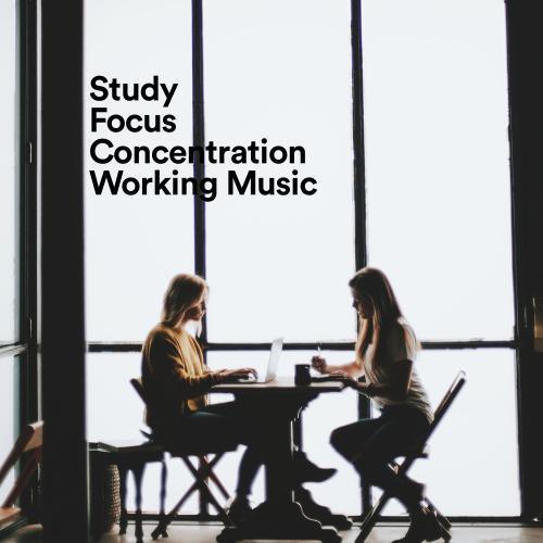 Study, Focus, Concentration, Working Music