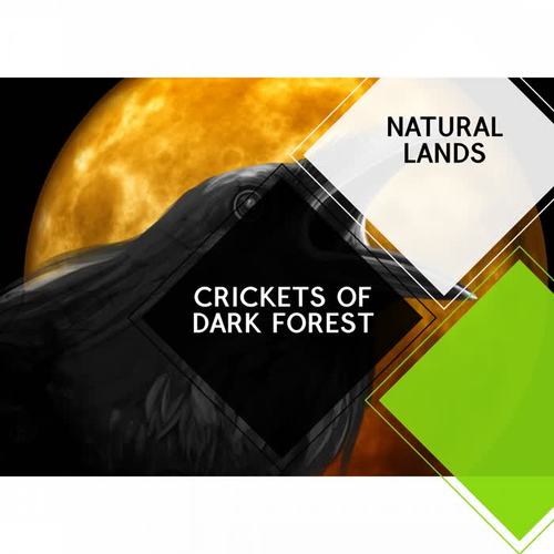 Crickets of Dark Forest - Natural Lands