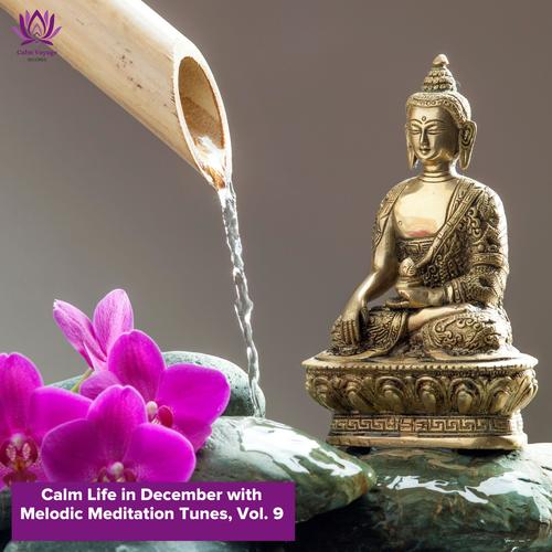 Calm Life in December with Melodic Meditation Tunes, Vol. 9