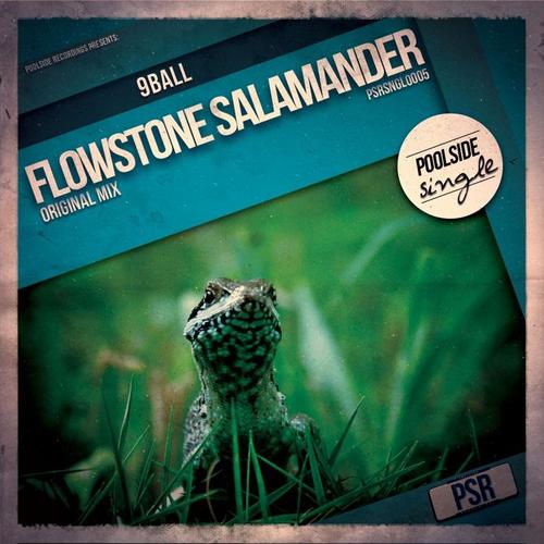 Flowstone Salamander