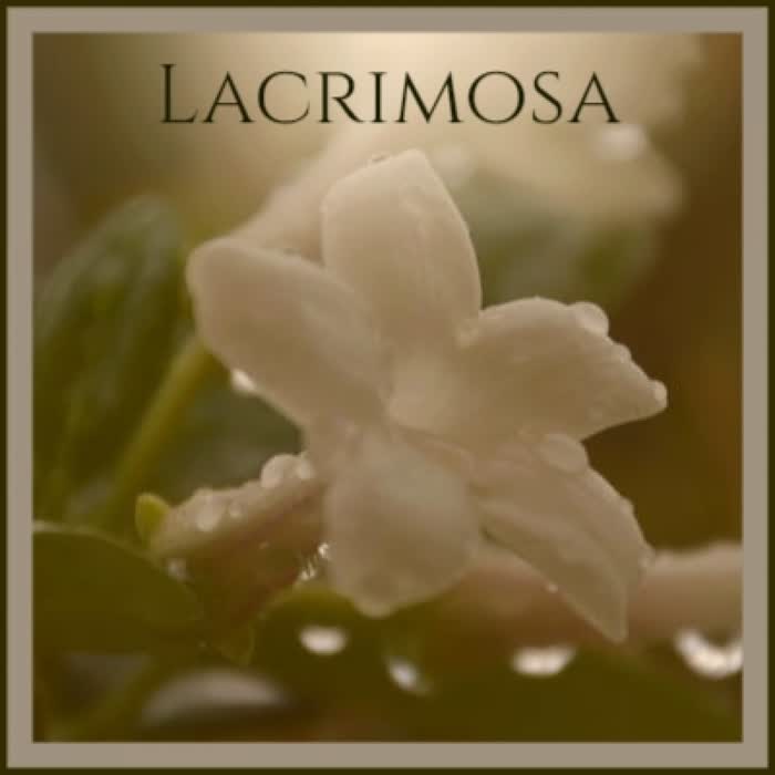 Lacrimosa