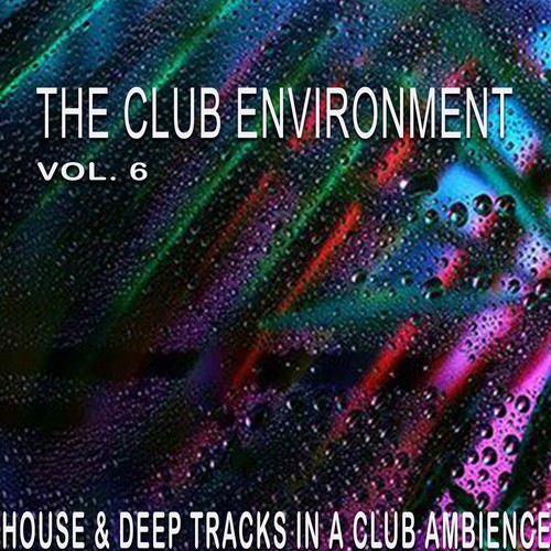 The Club Environment, Vol. 6