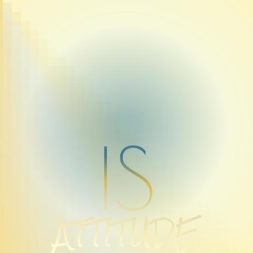 Is Attitude