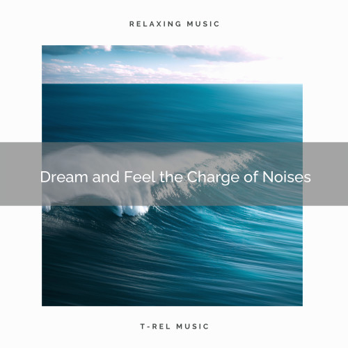 Dream and Feel the Charge of Noises