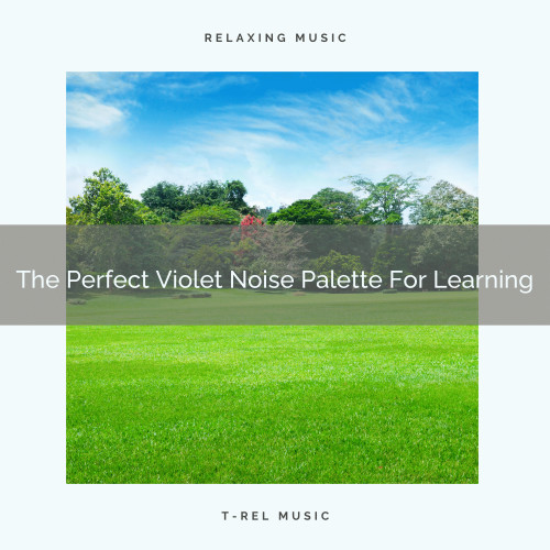 The Perfect Violet Noise Palette For Learning