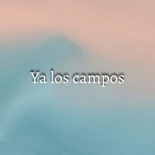 Ya los campos