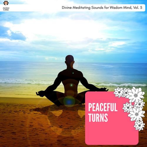 Peaceful Turns - Divine Meditating Sounds For Wisdom Mind, Vol. 5