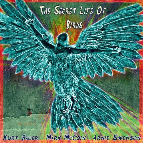 The Secret Life of Birds