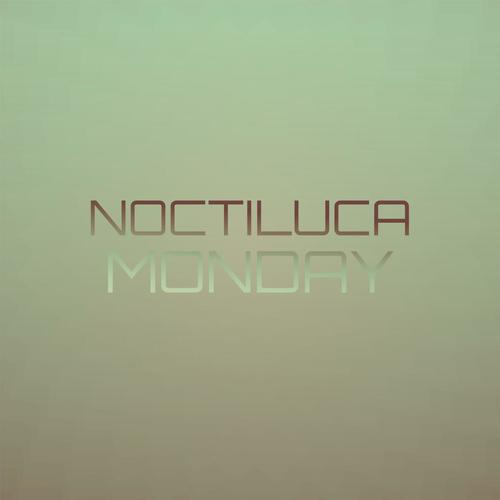 Noctiluca Monday