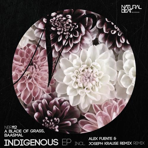 Indigenous