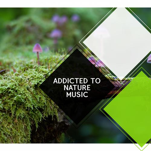 Addicted to Nature Music