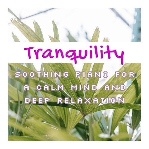 Tranquility: Soothing Piano for a Calm Mind and Deep Relaxation