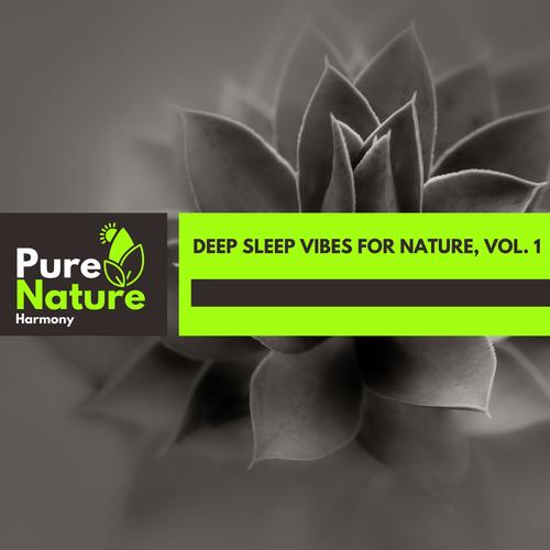 Deep Sleep Vibes for Nature, Vol. 1